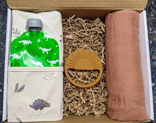 Dinosaur Baby Gift Box